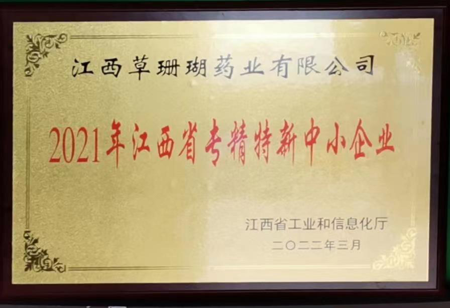 2021年江西省专精特新中小企业 2021年江西省专精特新中小企业