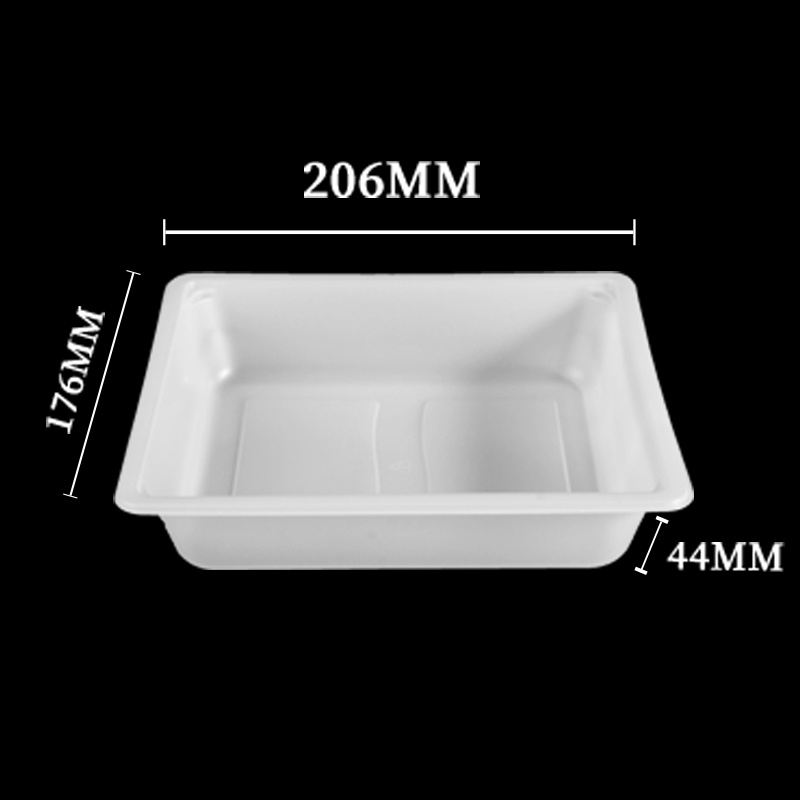 Plastic Salad Tray