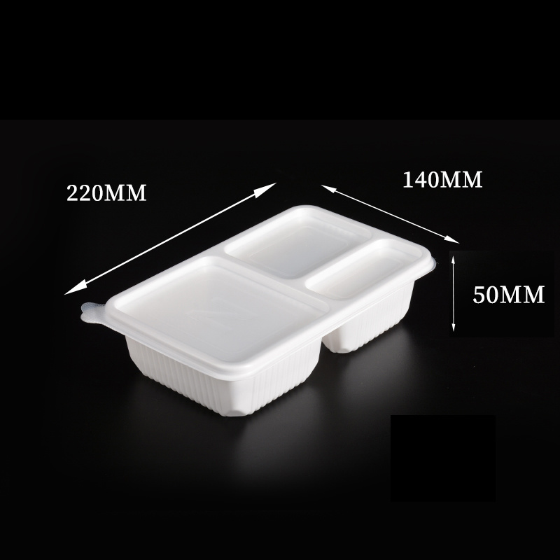 Disposable Bento Box