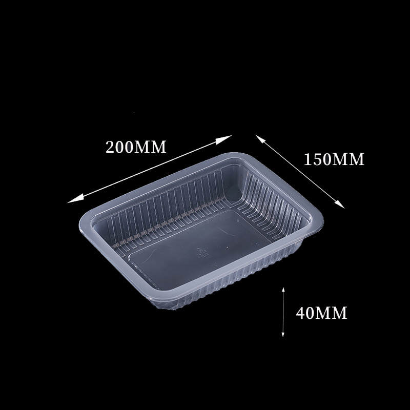 Plastic Blister Tray