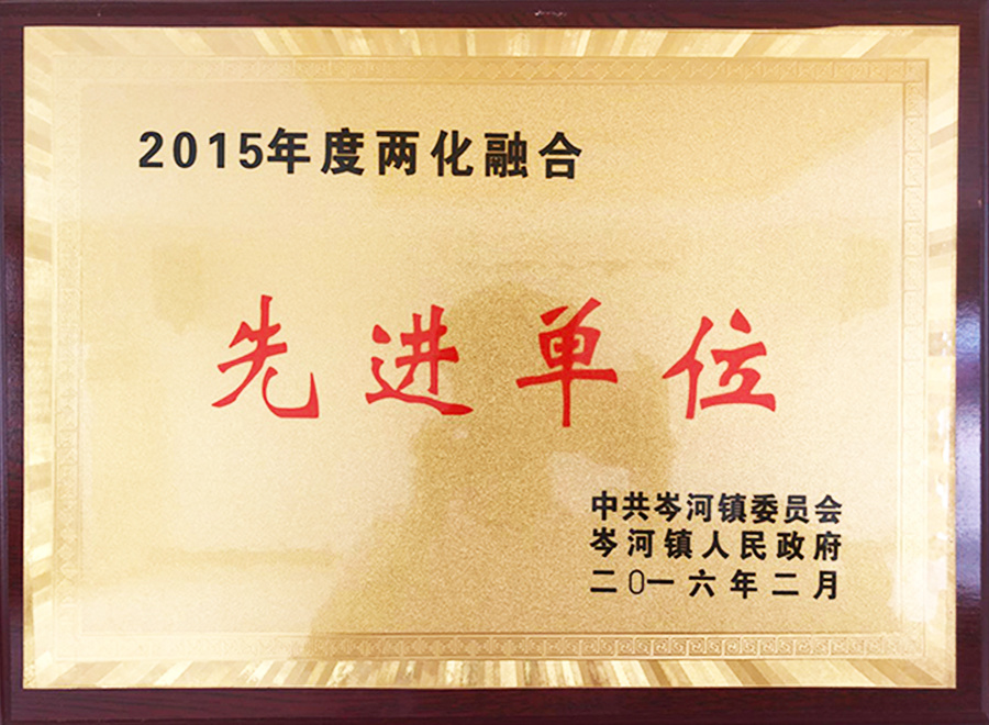 2015年度兩化融合先進單位