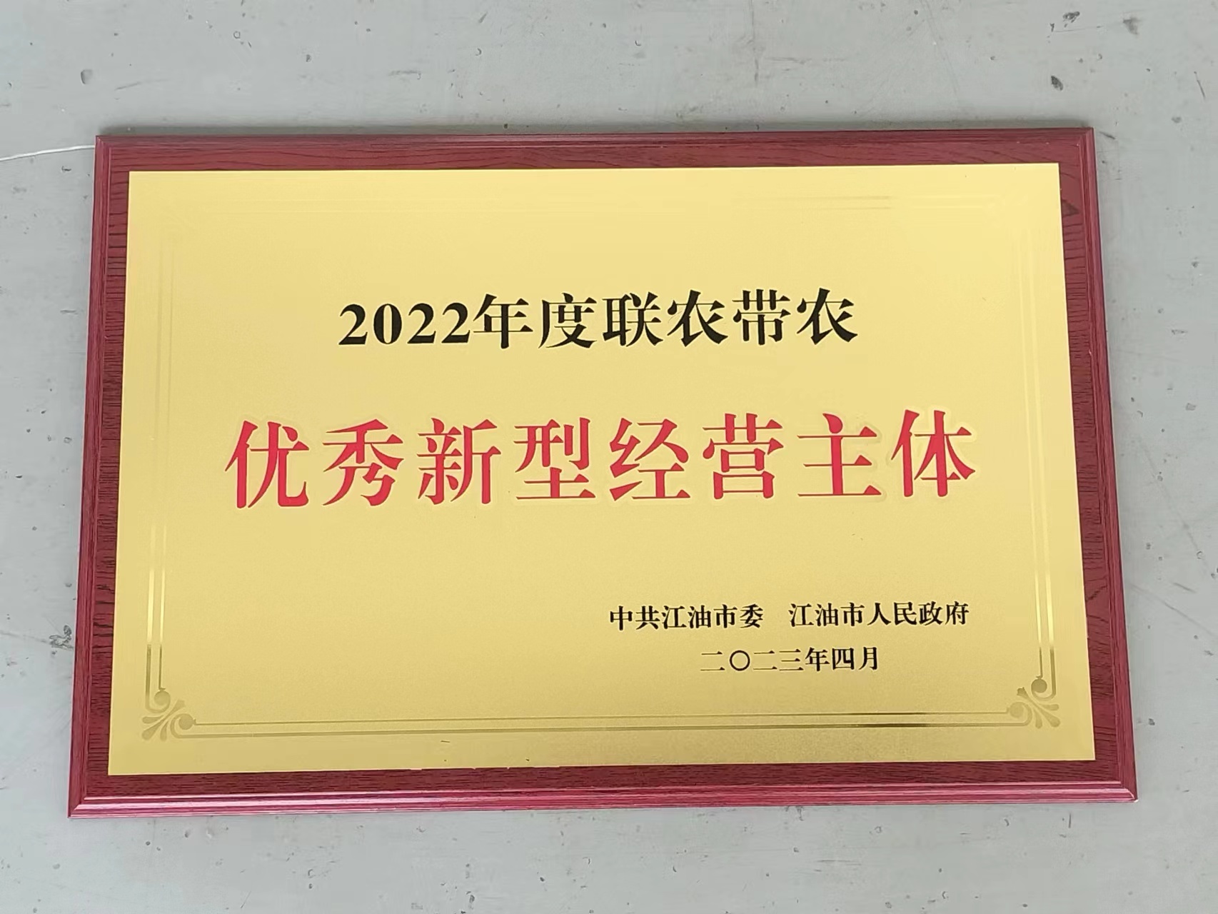 優(yōu)秀新型經(jīng)營(yíng)主體 優(yōu)秀新型經(jīng)營(yíng)主體