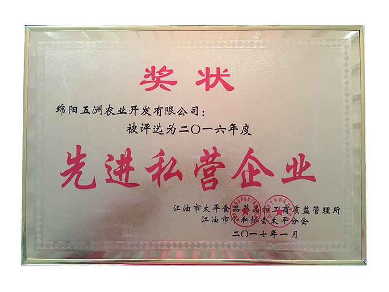 先進(jìn)私人企業(yè) 先進(jìn)私人企業(yè)