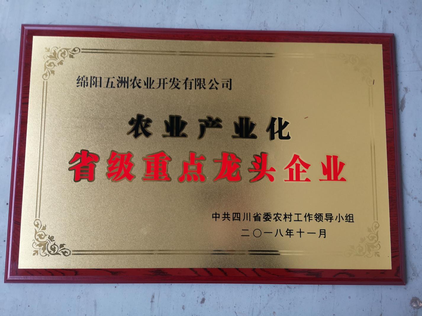 省龍頭企業(yè)證書 省龍頭企業(yè)證書