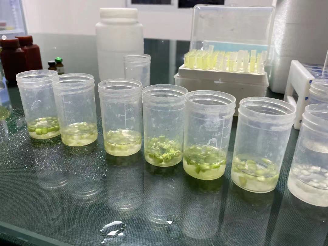 配送檢測(cè) 配送檢測(cè)