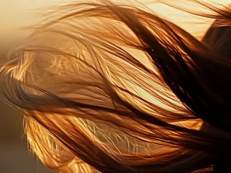 Multi-Scenario Design Innovations in Hands-Free Hair Dryers