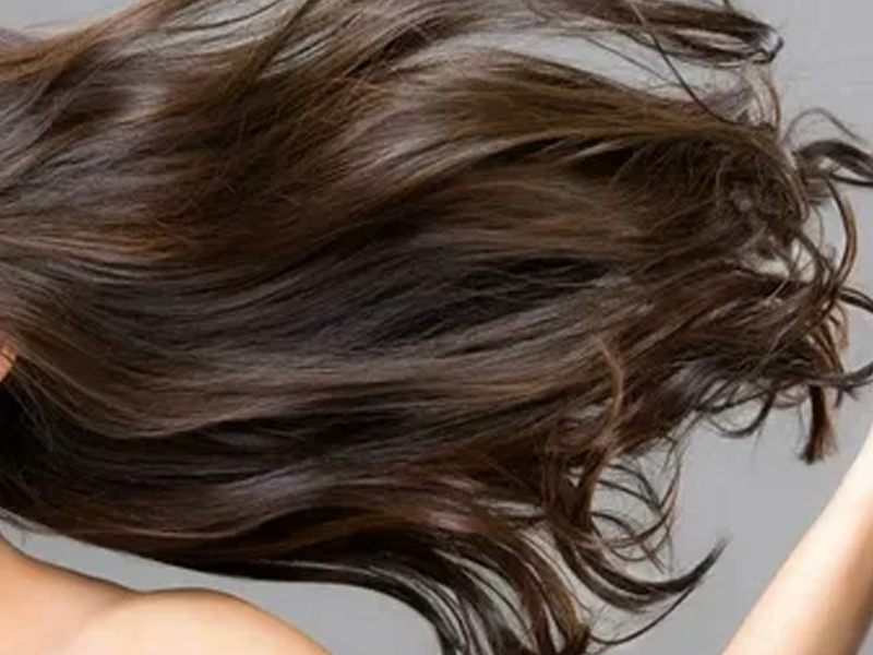 Hands-Free Hair Dryers Applied in Pet Care