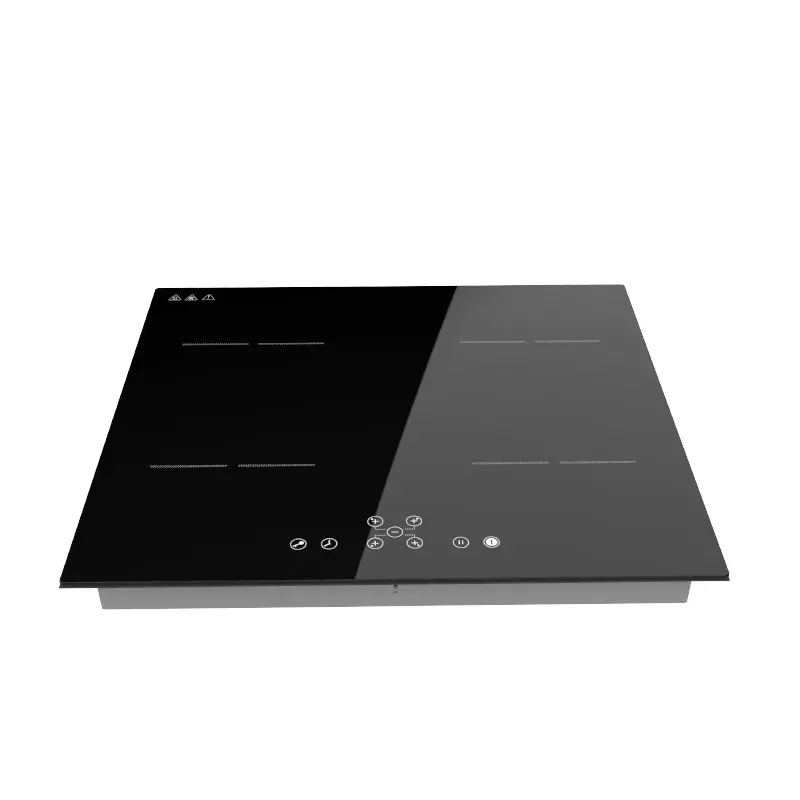 Modern Design 220V Induction S