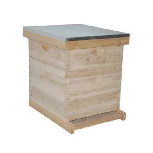 Dadant Beehive