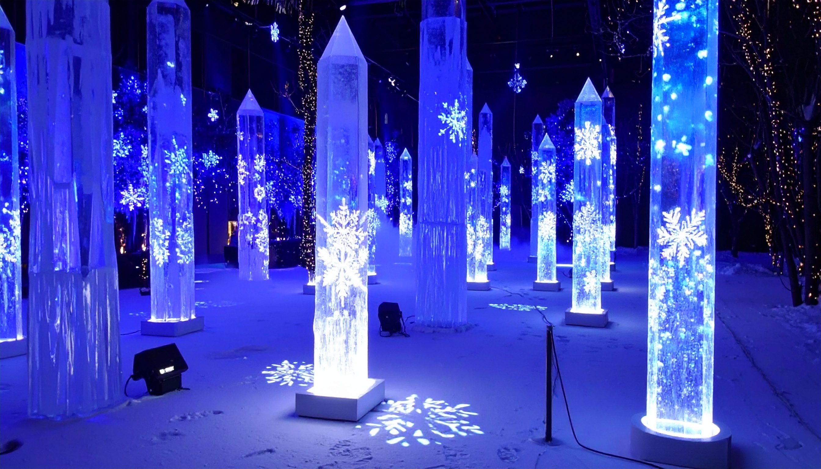 Winter World 2022