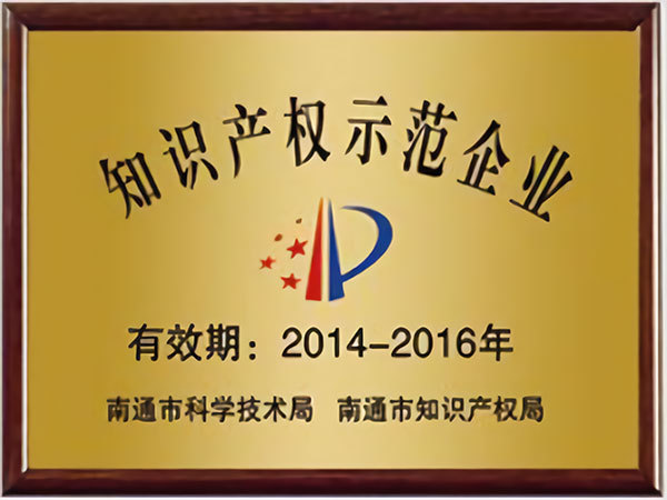 知识产权示范企业