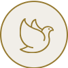 Jinrui 