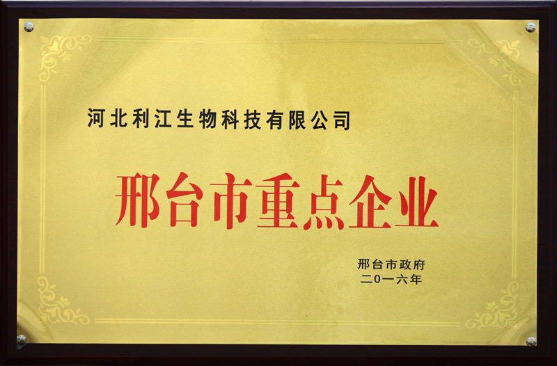 Key Enterprises in Xingtai City