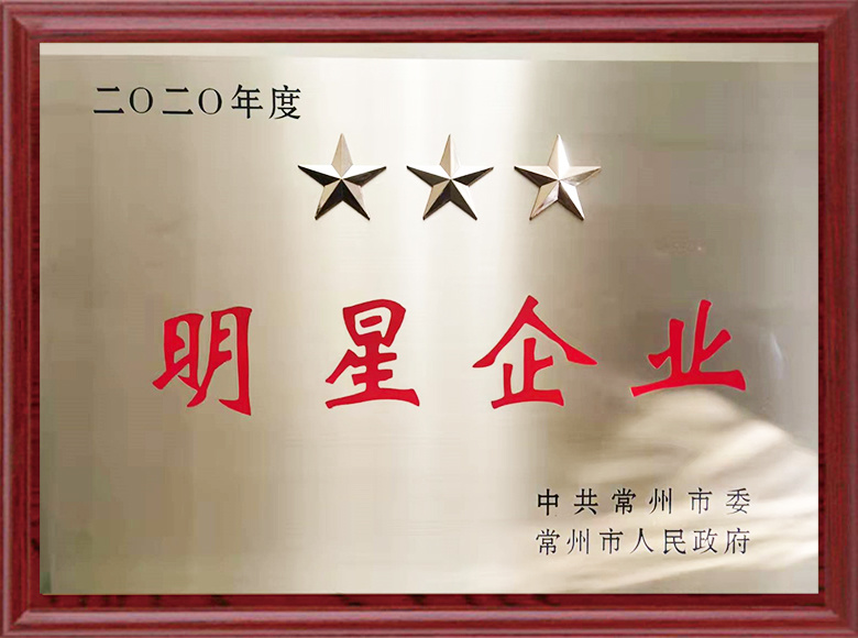 2020年度明星企业