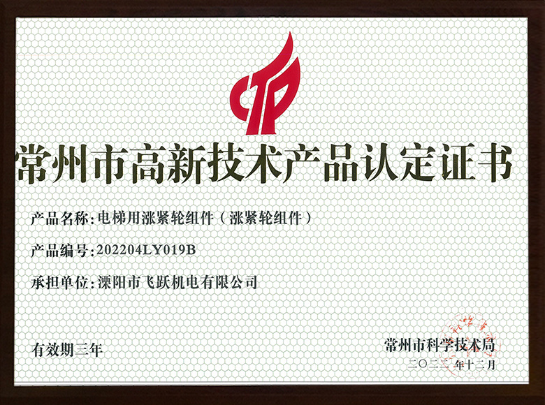 电梯用涨紧轮组件(涨紧轮组件2)