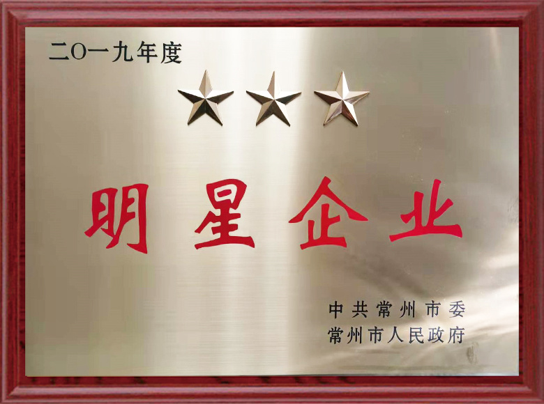 2019年度明星企业