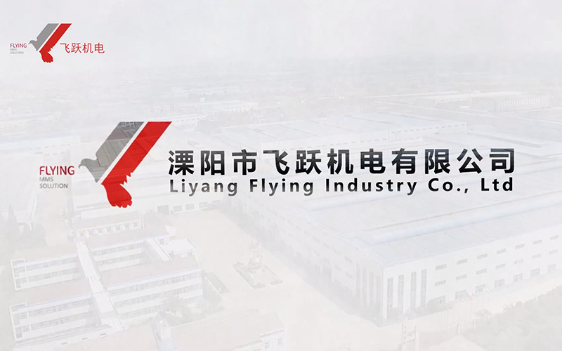 视频标题