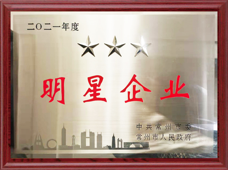 2021年度明星企业