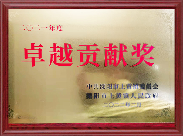 2020年度卓越贡献奖