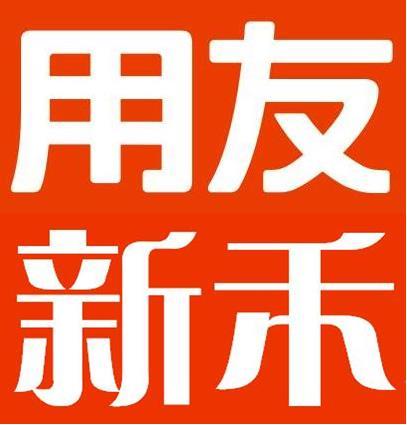 财务软件-用友财务软件-小公司财务软件