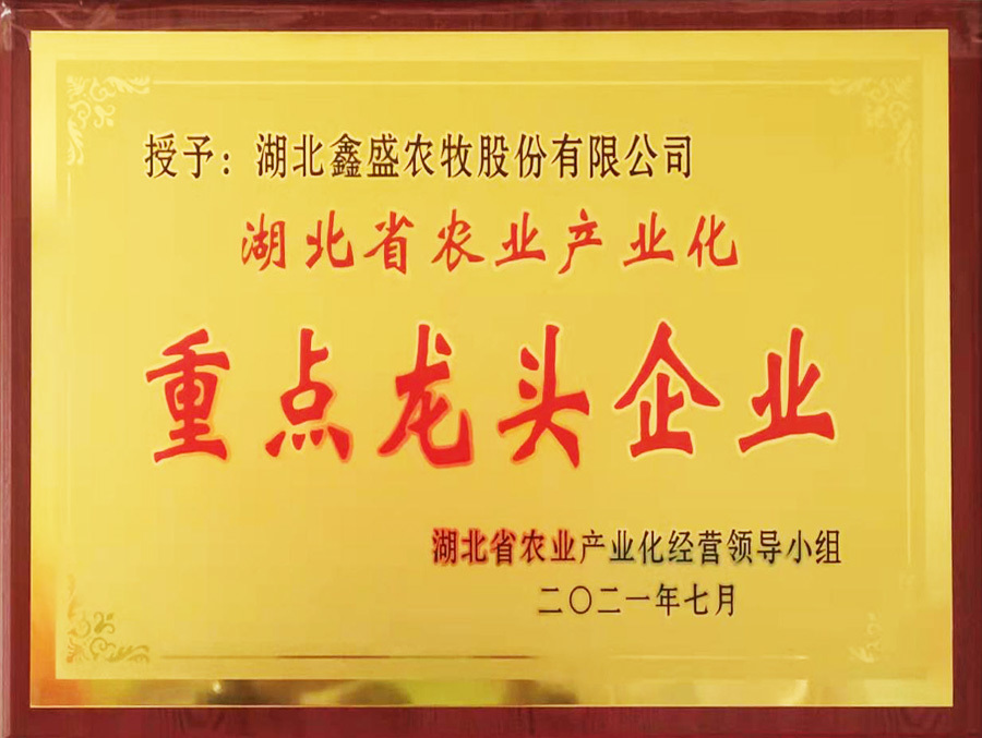 湖北省農(nóng)業(yè)產(chǎn)業(yè)化重點(diǎn)龍頭企業(yè) 湖北省農(nóng)業(yè)產(chǎn)業(yè)化重點(diǎn)龍頭企業(yè)