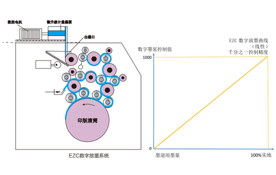 科雷