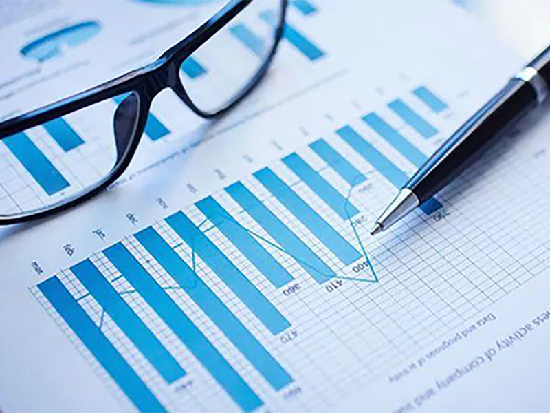 Company growth analysis
