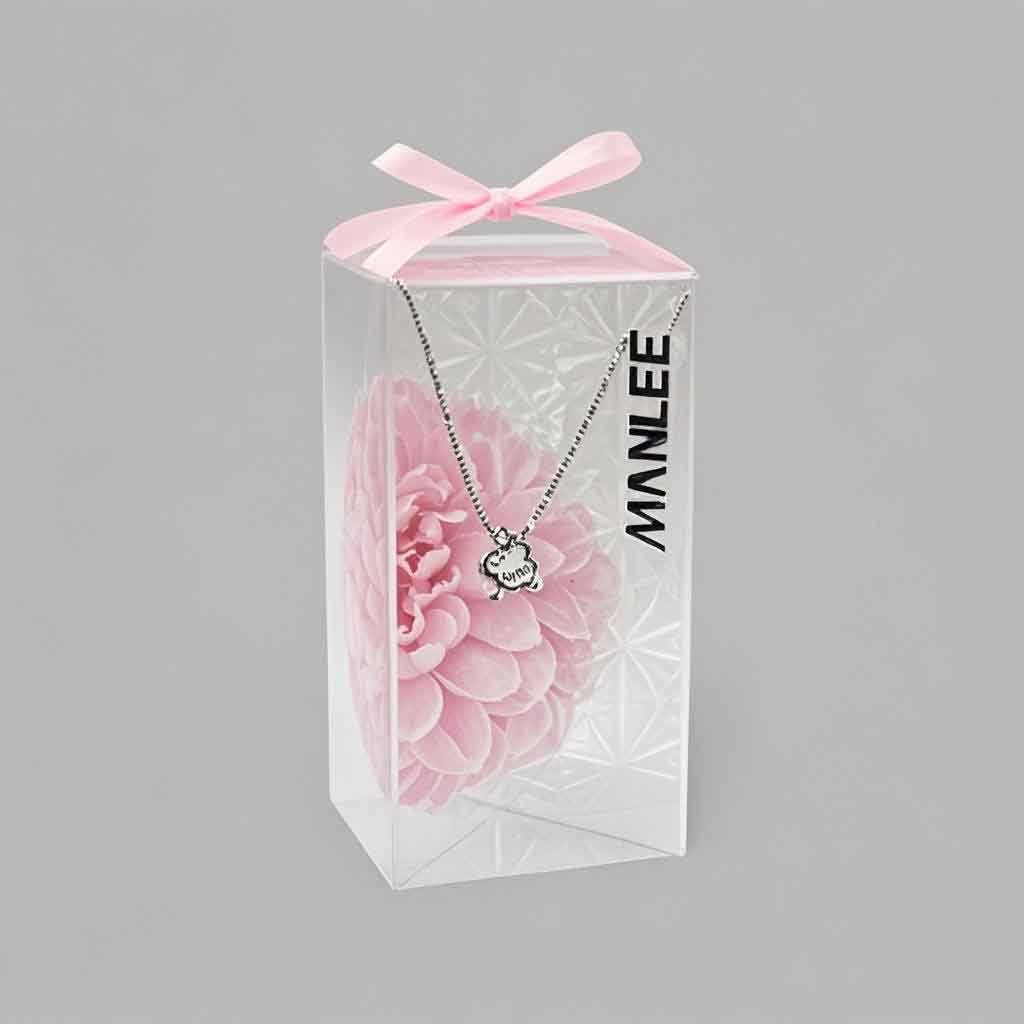 Good Quality PET Transparent Plastic Gift Box for Girlfriend