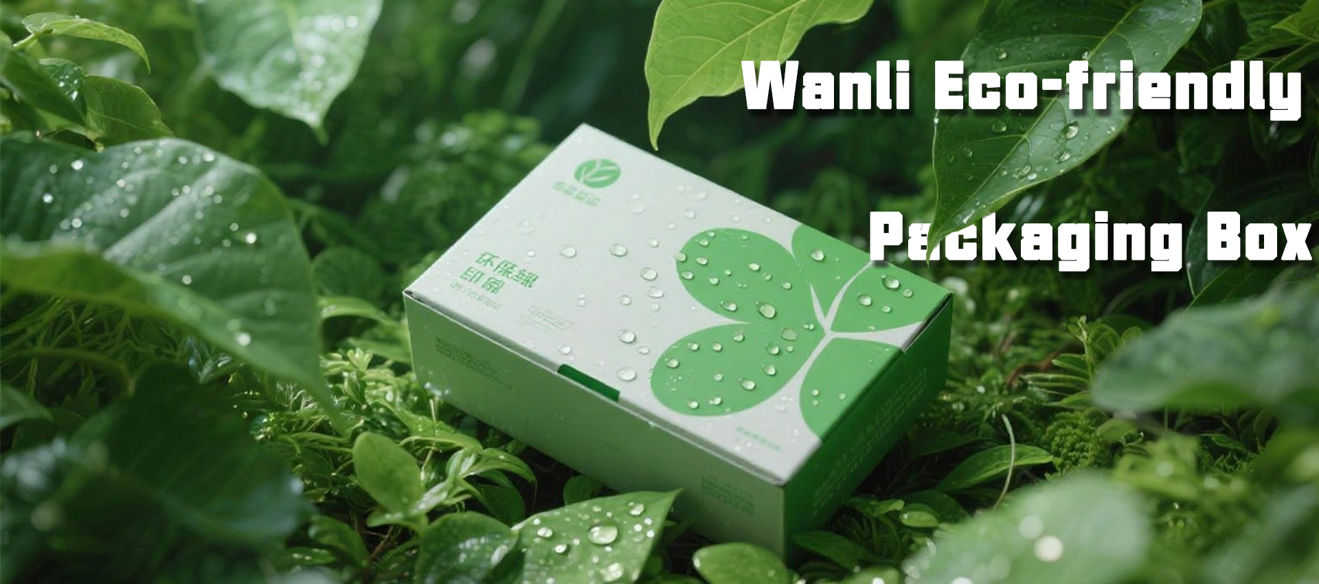 Wanli Eco-friendly Packaging Box