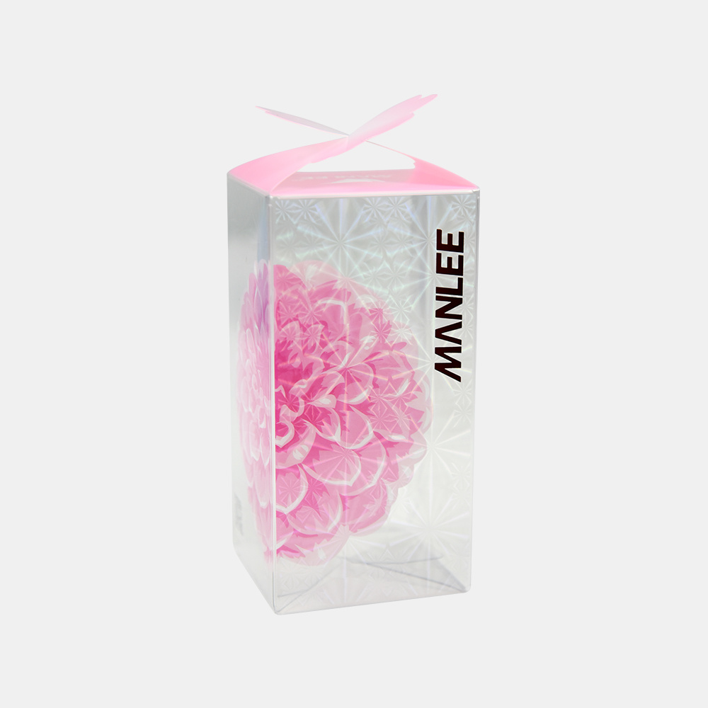 Good Quality PET Transparent Plastic Gift Box for Girlfriend