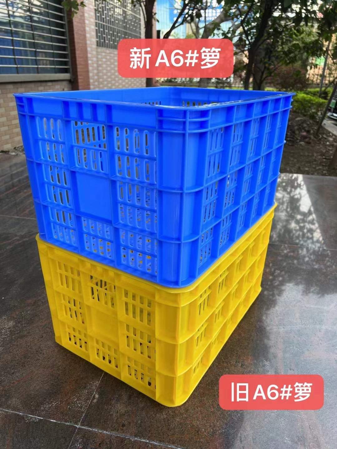 改款A6