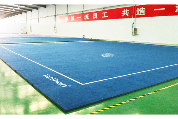 青少年武術(shù)場地