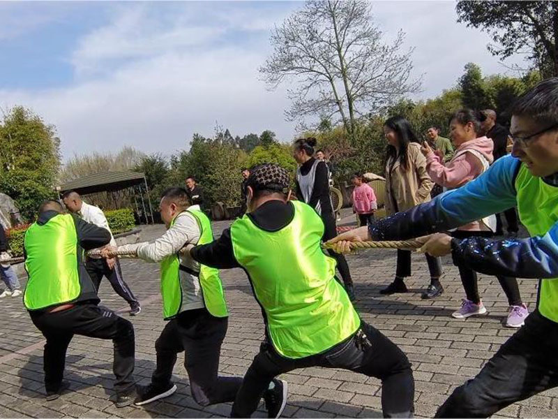 Team activities