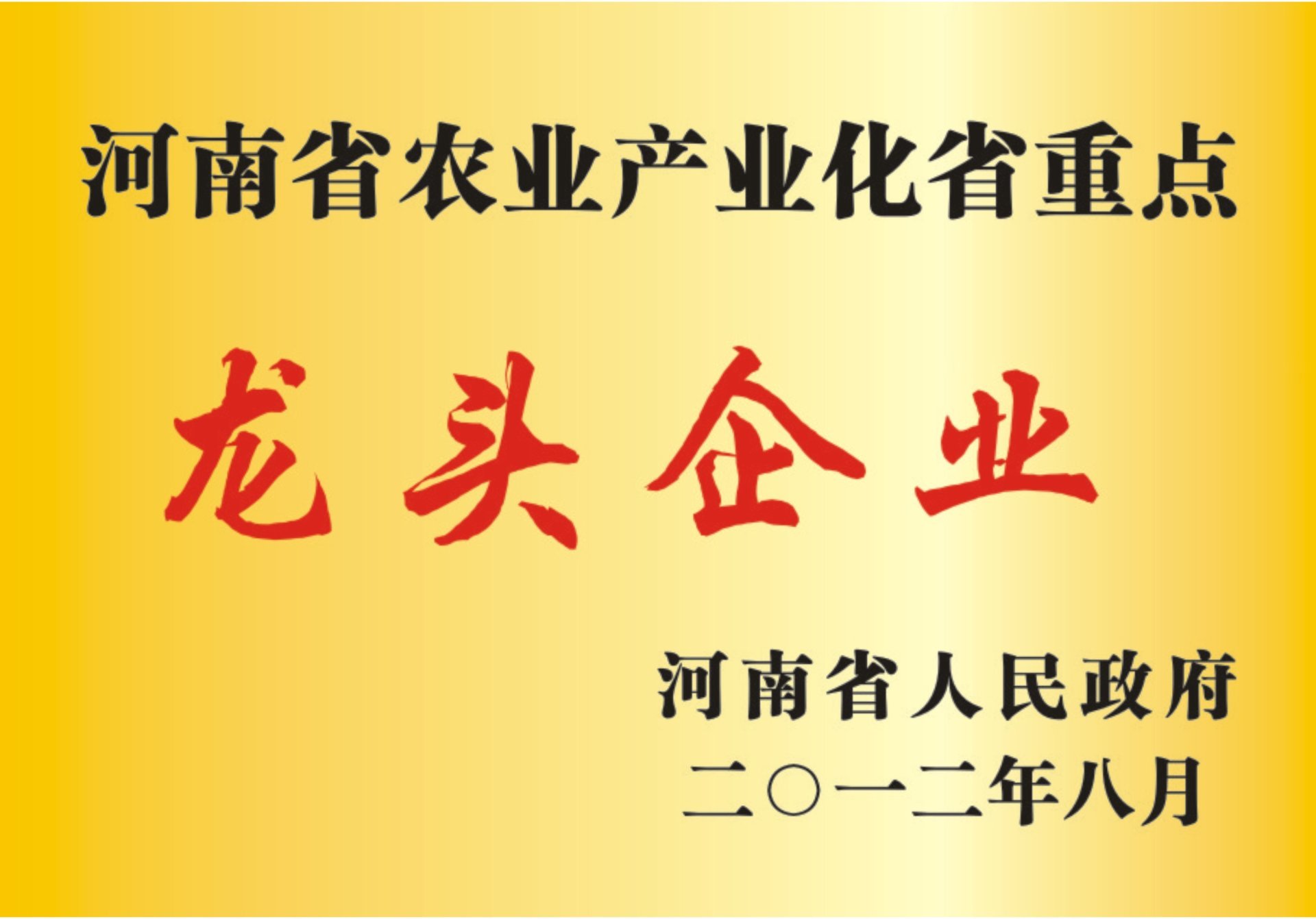Leading enterprise
