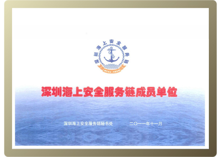 海上安全服务链