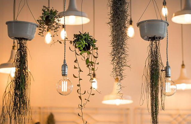 What are the characteristics of led string lights