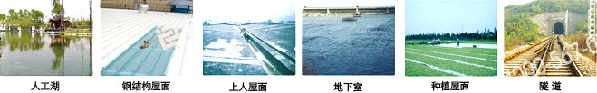 應(yīng)用領(lǐng)域