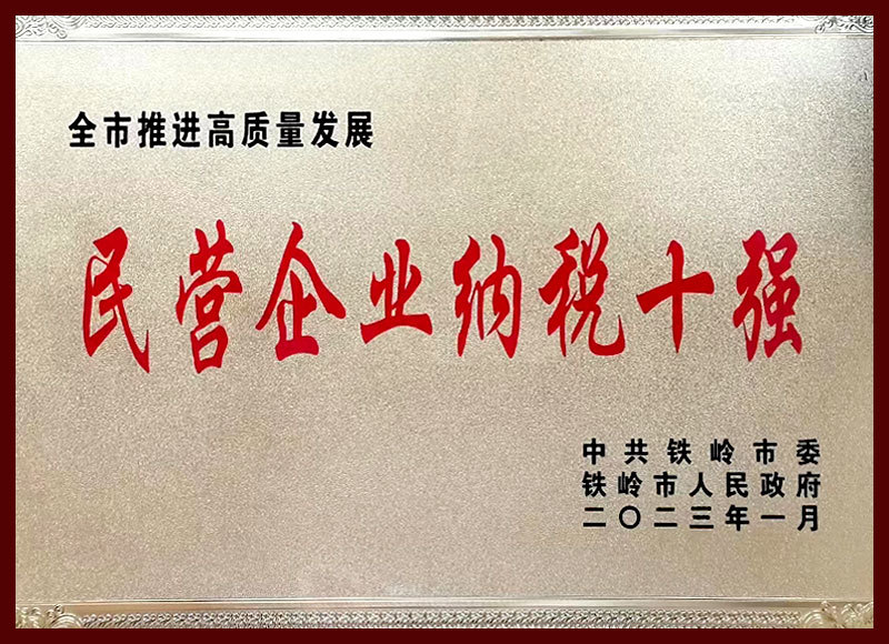 民营企业纳税十强