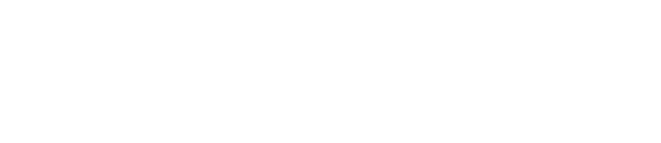 syloon