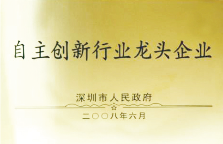 Leading enterprise in independent innovation industry