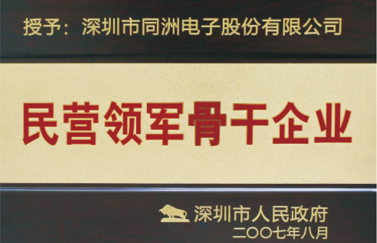 Leading private enterprise
