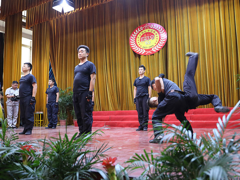Army Day performance Army Day performance