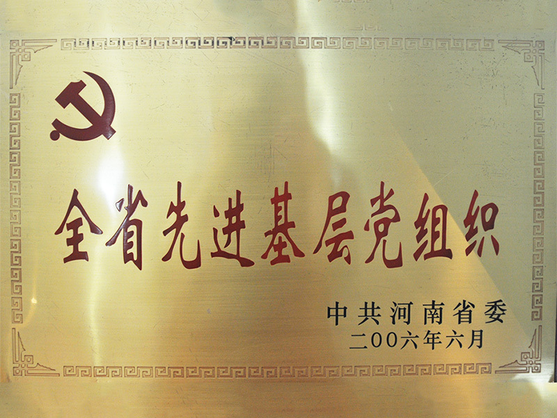 Provincial advanced grass-roots party organizations Provincial advanced grass-roots party organizations