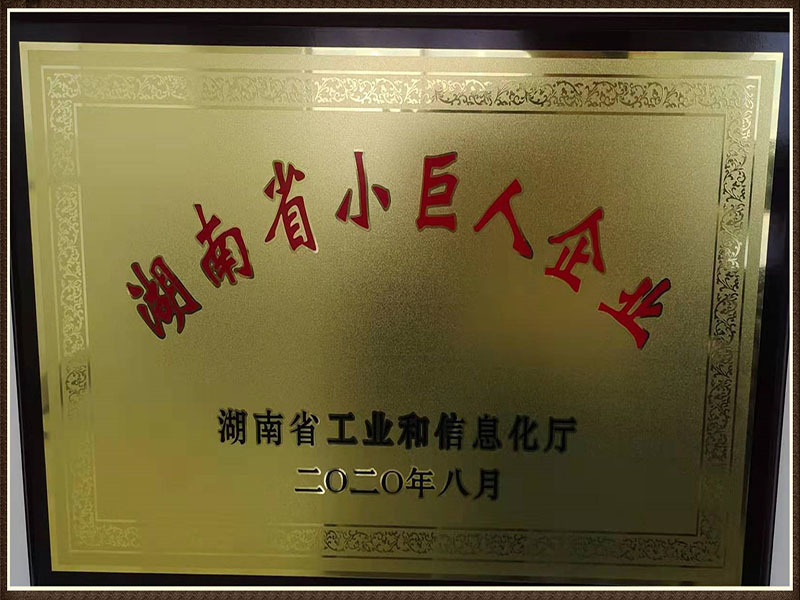 Small Giant Enterprise of Hunan Province