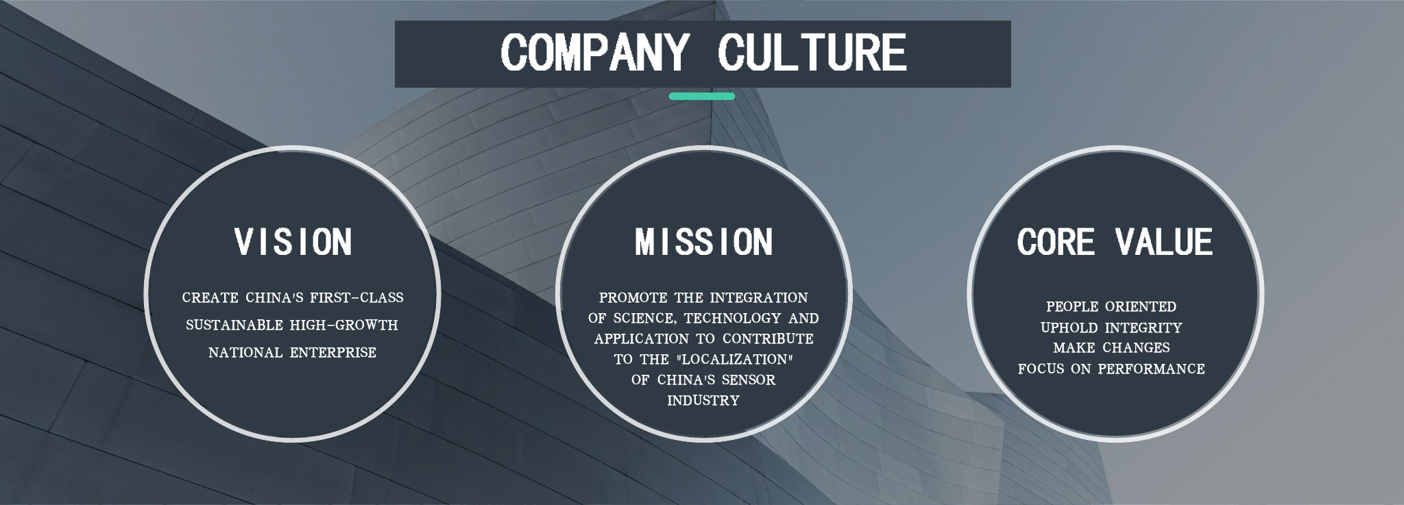 Company Profile