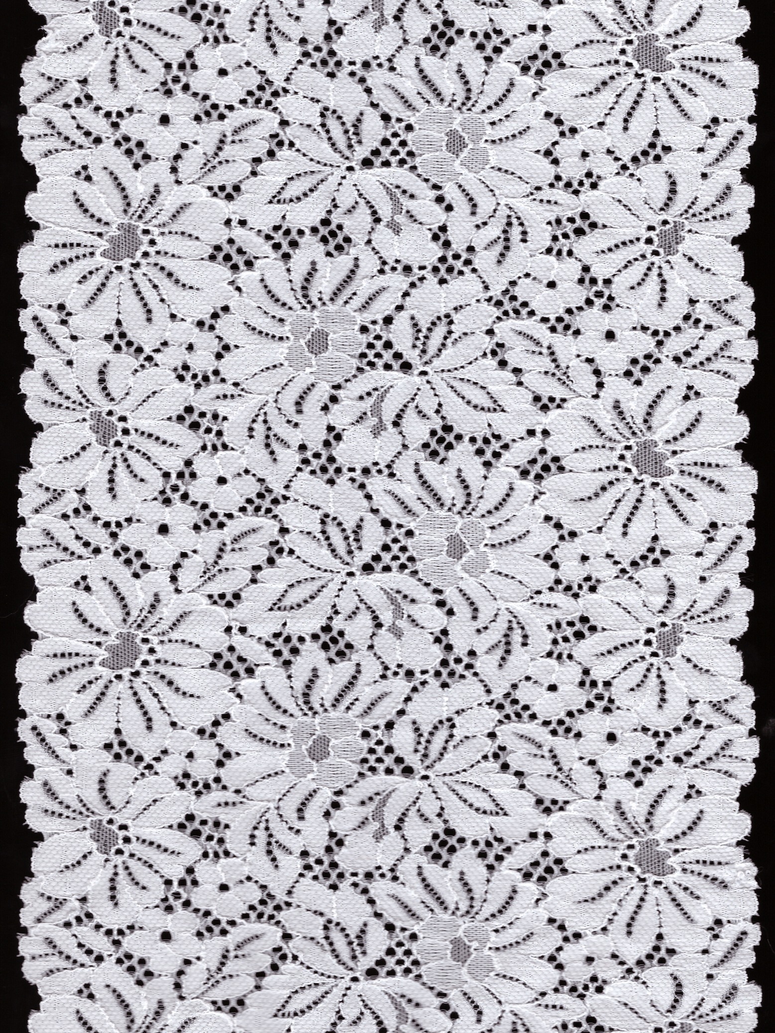 SJL06137