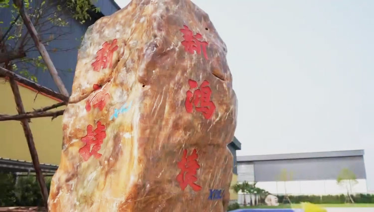 视频标题