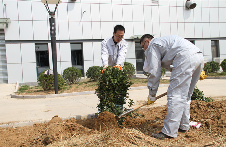 植樹活動(dòng) 植樹活動(dòng)