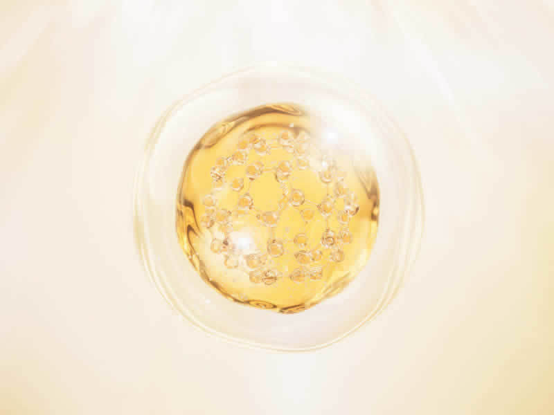 Collagen cosmetics