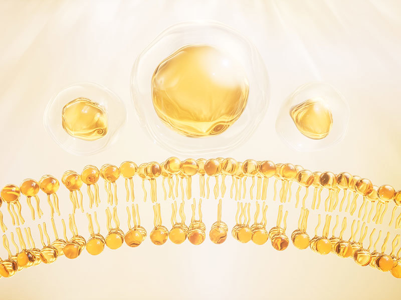 Collagen cosmetics